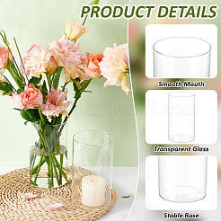 Vase hydroponique en verre transparent&nbsp;AJEW-WH0348-441B