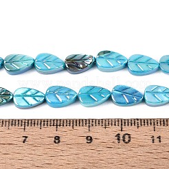 Colliers de perles sculptées en coquillage d'eau douce naturelle&nbsp;SHEL-N038-25B