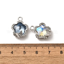 Aluminium Anhänger & Charms&nbsp;FIND-H015-25P