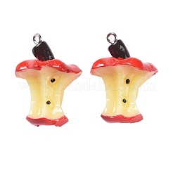 30 pz 3 ciondoli in resina stile&nbsp;RESI-LS0001-02P