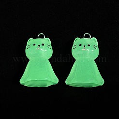 Pendentifs en résine lumineux&nbsp;RESI-R460-01A