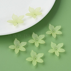 Perles en acrylique transparente&nbsp;MACR-S373-127-D06