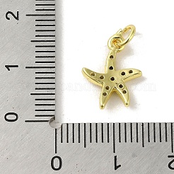 Breloques en laiton avec zircone cubique de micro pave&nbsp;KK-M283-22F-01