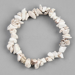 Unisex-Chips natürliche Magnesit-Perlen-Stretch-Armbänder&nbsp;BJEW-S143-41