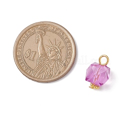 Pendentifs en acrylique transparent &nbsp;PALLOY-JF04258-01