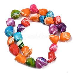 Fili di perle di conchiglia trochid naturale / trochus&nbsp;SHEL-B005-06