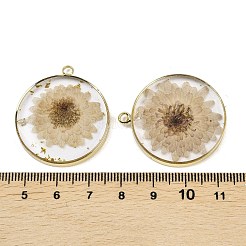 Anhänger aus transparentem&nbsp;RESI-XCP0002-33