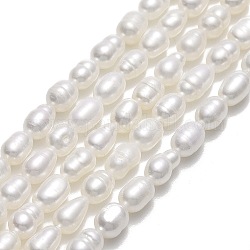 Natural Cultured Freshwater Pearl Beads Strands, Rice, Linen, 5.5~7.5x3.8~4.2mm, Hole: 0.6mm, about 58~60pcs/strand, 13.98''~14.17