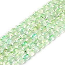 Chapelets de perles en préhnite naturelle, facette, plat rond, AA grade, 4~4.5x2~2.5mm, Trou: 0.8mm, Environ 89 pcs/chapelet, 15.35'' (39 cm)