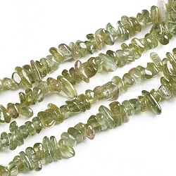 Copeaux d'apatite verte naturelle brins de perles, 2.5~6x4.5~10.5mm, Trou: 0.8~1mm, environ 33.86 pouce (86 cm)