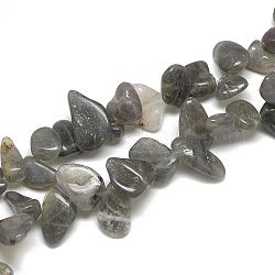 Natur Labradorit Perlen Stränge, Chip, 8~23x8~14x4~7 mm, Bohrung: 1 mm, ca. 55~70 Stk. / Strang, 16.4 Zoll