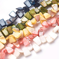 Freshwater Shell Beads Strands, Dyed, Nuggets Chips, Mixed Color, 12~14.5x6~16x3~8mm, Hole: 0.5mm, about 42~56pcs/strand, 14.4~14.8 inch(36.5~37.5cm)