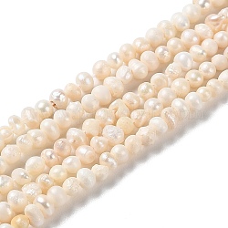 Hebras de perlas de agua dulce cultivadas naturales, patata, Grado B, PapayaWhip, 2~4x2~3mm, agujero: 0.5 mm, aproximamente 124 pcs / cadena, 13.78 pulgada (35 cm)
