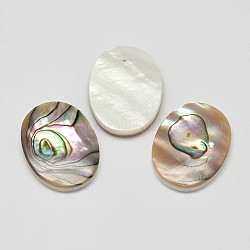 Oval Natural Abalone Shell/Paua Shell Cabochons, Colorful, 25x19x4mm