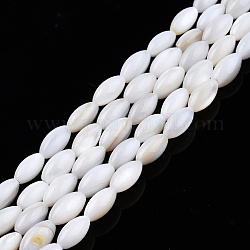 Eau douce naturelle de coquillage perles brins, riz, 7.5x4mm, Trou: 0.8mm, Environ 51~52 pcs/chapelet, 14.96 pouce ~ 15.16 pouces (38~38.5 cm)