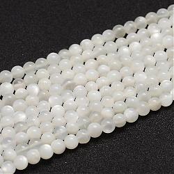 Naturelles perles pierre de lune blanc brins, Grade a, ronde, blanc, 6mm, Trou: 0.8mm, Environ 61 pcs/chapelet