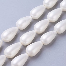 Fili di perle di conchiglia di elettropeste, goccia, bianco, 18~20x10~10.5mm, Foro: 1 mm, circa 20pcs/filo, 15~16 pollice (40~41 cm)