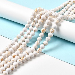 Perles de turquoise synthétique et coquillage assemblées, teinte, ronde, blanc crème, 10mm, Trou: 1.2mm, Environ 40 pcs/chapelet, 15.55'' (39.5 cm)