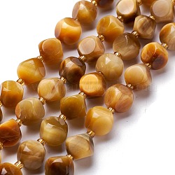 Naturel oeil de tigre perles brin, avec des perles de rocaille, dés célestes à six faces, 10~10.5x10~10.5x10~10.5mm, Trou: 0.5mm, Environ 16 pcs/chapelet, 7.97'' (20.25 cm)