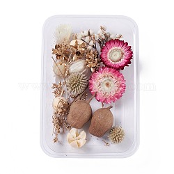 Fleurs séchées, accessoires de fabrication de savon bougie bricolage, avec boîte rectangulaire en plastique, support violet rouge, 2.4~12x1.9~4.3 cm