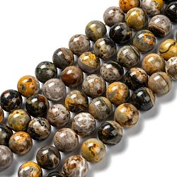 Fili di perle di diaspro naturale calabrone, tondo, 12mm, Foro: 1.2 mm, circa 34pcs/filo, 15.94'' (40.5 cm)
