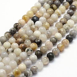 Chapelets de perles en agate de feuille de bambou naturelle, ronde, 6mm, Trou: 0.8mm, Environ 60 pcs/chapelet, 15.4 pouce