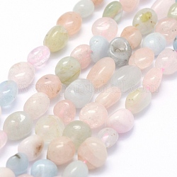 Chapelets de perles en morganite naturelle, ovale, 5~12x6~9x4~7mm, Trou: 1mm, Environ 50~53 pcs/chapelet, 15.3 pouce ~ 15.7 pouces