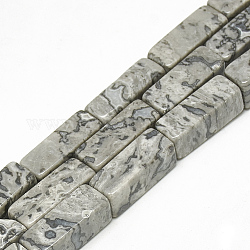 Природные netstone бисер нитей, кубоид, 20~21x8~8.5x8~8.5 мм, Отверстие : 1 мм, около 19 шт / нитка, 15.5 дюйм