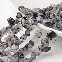 Pépites de quartz rutile naturel noir brins de perles, pierre roulée, 12~16x8~13x6~8mm, Trou: 1mm, Environ 53 pcs/chapelet, 15.3 pouce