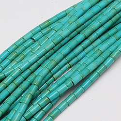 Filo di perline turchesi sintetici, tinto, colonna, verde mare chiaro, 5x3mm, Foro: 1 mm, circa 72pcs/filo, 15.2 pollice