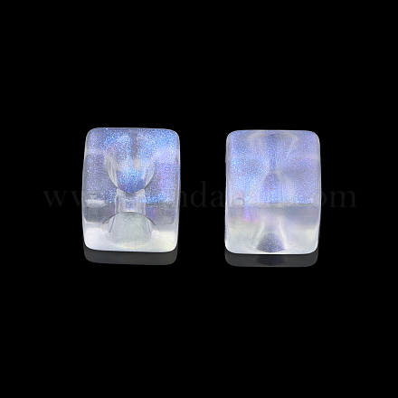 Perles en acrylique transparente OACR-N008-168B-01-1
