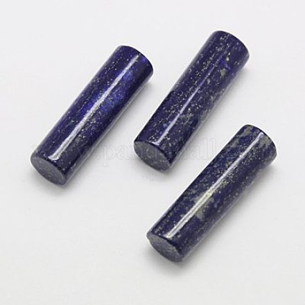 Natural Lapis Lazuli Beads G-G430-11-1