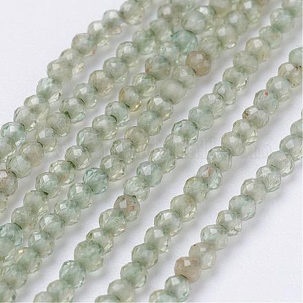 Natural Quartz Beads Strands G-E354-01-1