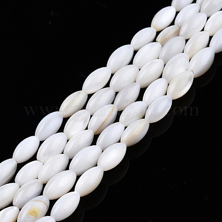 Eau douce naturelle de coquillage perles brins X-SHEL-N026-212-A01-1