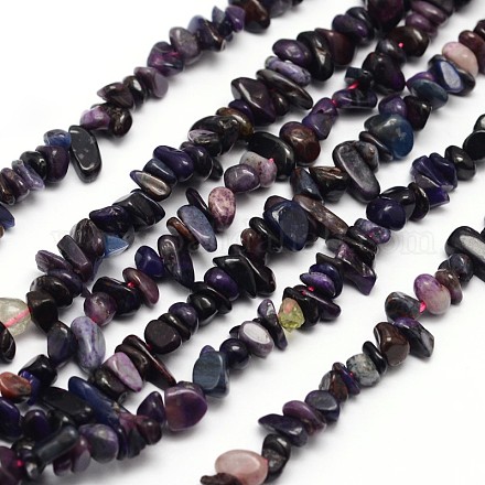 Chips Natural Sugilite Beads Strands X-G-N0164-28-1