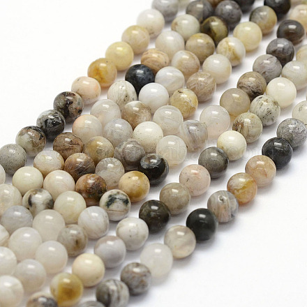 Chapelets de perles en agate de feuille de bambou naturelle G-F364-02-6mm-1