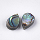 Abalone Shell/Paua Shell Beads SSHEL-T008-08-2
