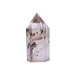 Point Tower натуральный лодолит кварц украшение для дома PW-WG99911-02-4