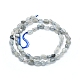 Chapelets de perles en labradorite naturelle  G-L550A-06-3
