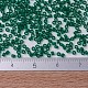 MIYUKI Delica Beads X-SEED-J020-DB0776-4