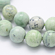 Natural Green Grass Jasper Beads Strands G-J373-03-11mm-2