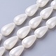 Fili di perle di conchiglia di elettropeste BSHE-O019-12-1