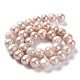 Natural Cultured Freshwater Pearl Beads Strands PEAR-E019-19-2