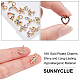 SUNNYCLUE 12Pcs 6 Styles Brass Micro Pave Colorful Cubic Zirconia Charms ZIRC-SC0001-08G-3