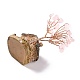 Ornamento modello in resina e quarzo rosa naturale DJEW-Z001-01E-5