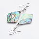 Abalone Shell/Paua Shell Dangle Earrings EJEW-F147-E08-2