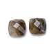 Cabujones de piedras preciosas mezcladas naturales G-D058-03B-3