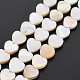 Natural Freshwater Shell Beads Strands X-SHEL-S276-70-4
