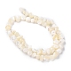 Perles en coquillage naturel BSHE-B003-19-3