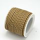 Eco-Friendly Braided Leather Cord WL-E015-3mm-12-2